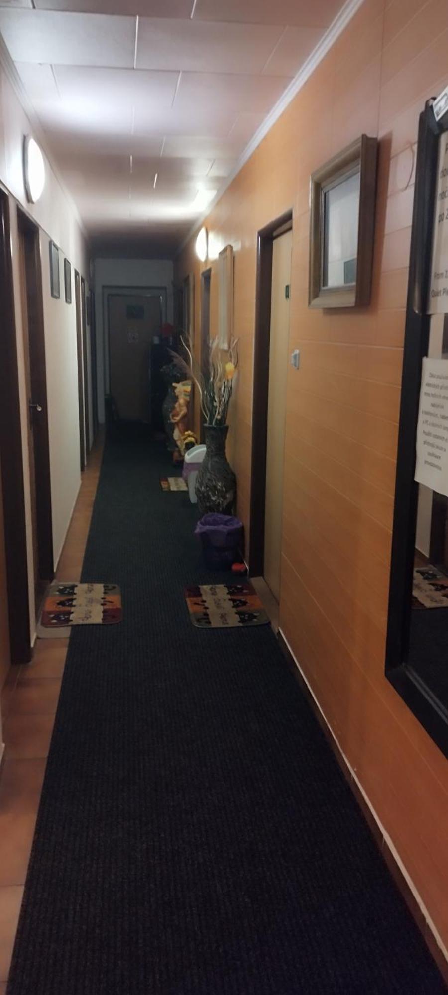 Drevenka Hotel Provodin Екстериор снимка
